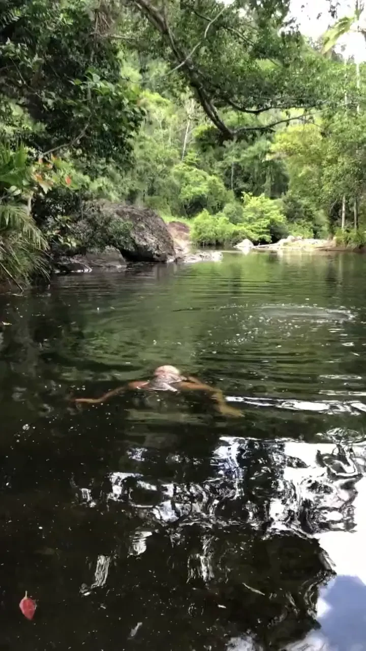 Wild wednesday s 10 for nude photos or 25 for videos 