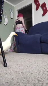 Why did it take this video for me to realize why my ducks think i m