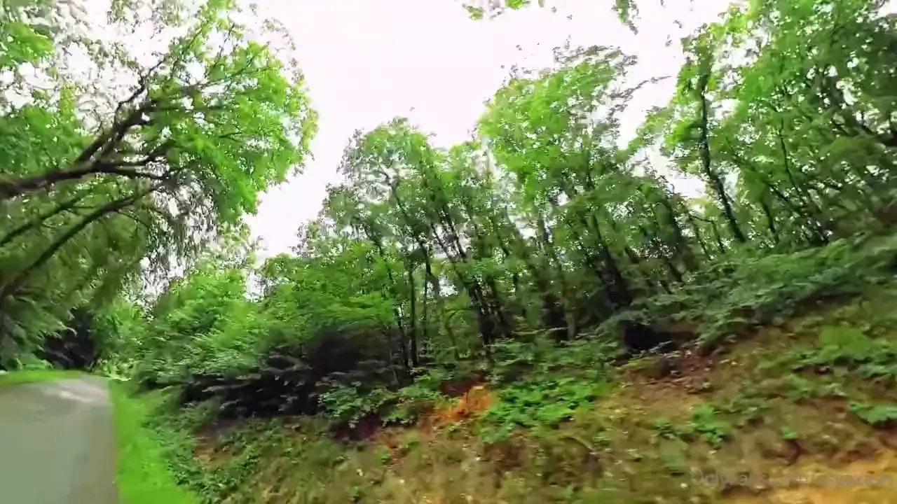 This is the extended version of one of our ph video originally we had 