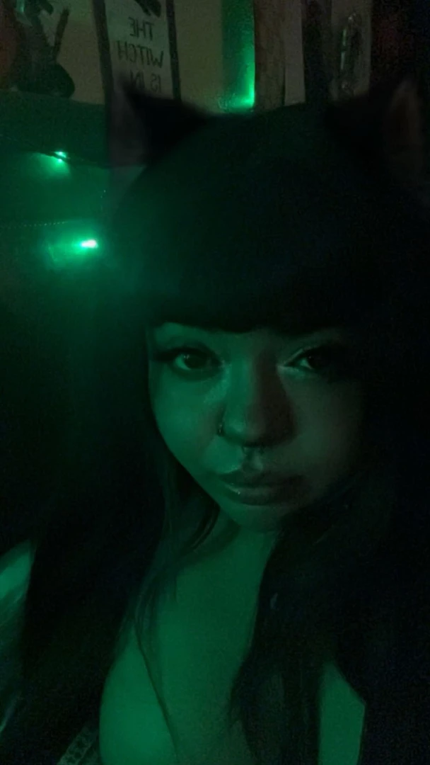 Let me purrr on ur lap top off ofcourse 