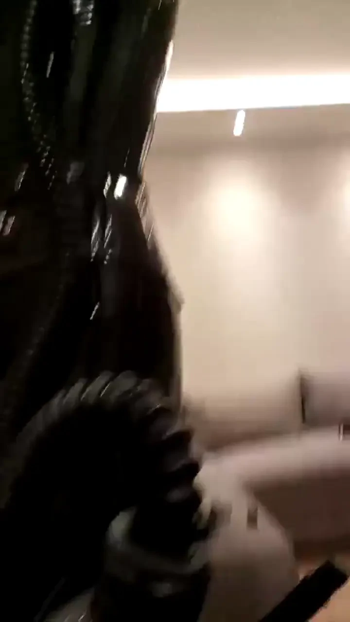 Stream started at 11 25 2023 08 18 pm 