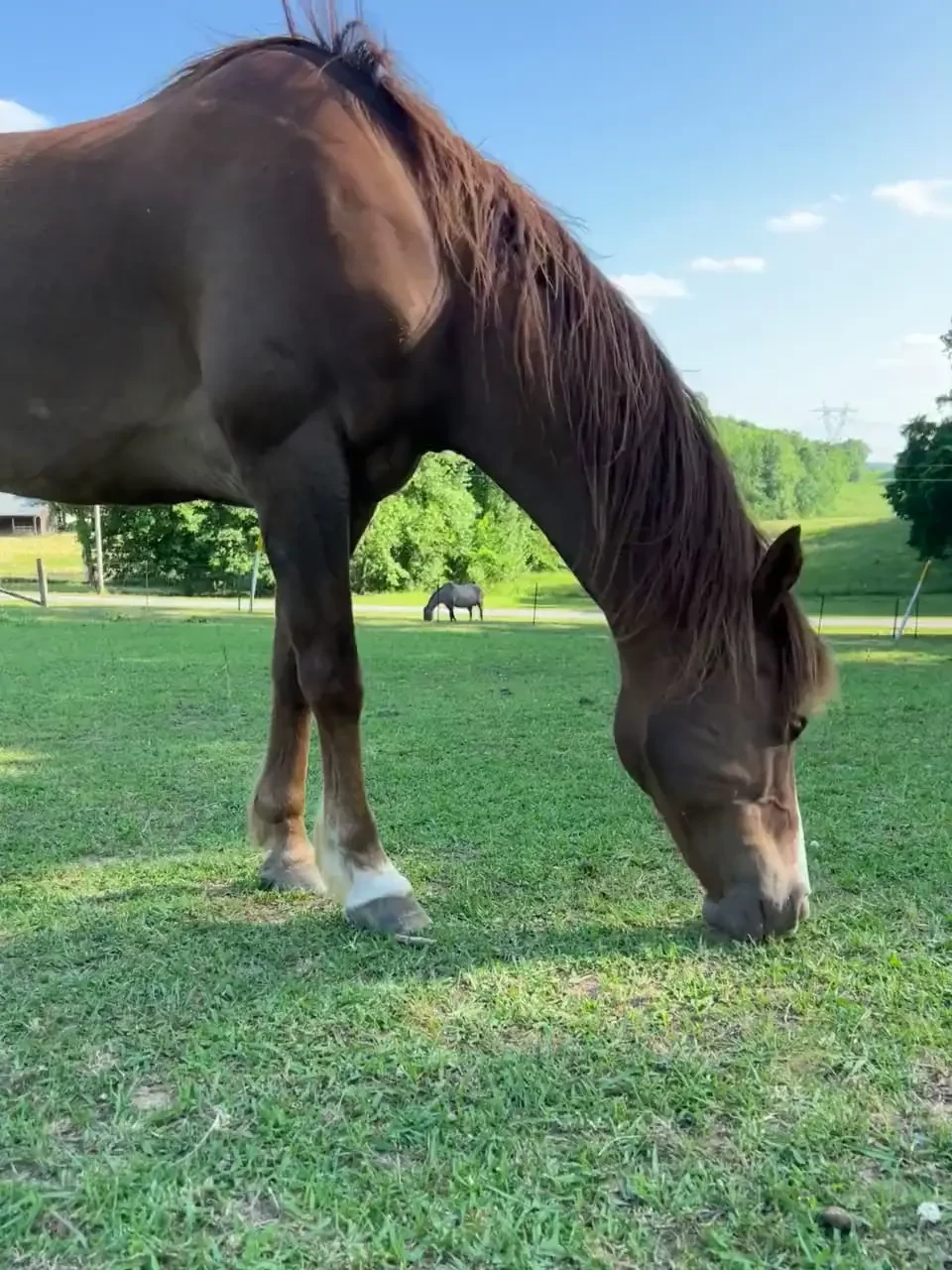 My happy place part 175 