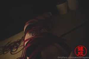 Kinbaku studies part 2