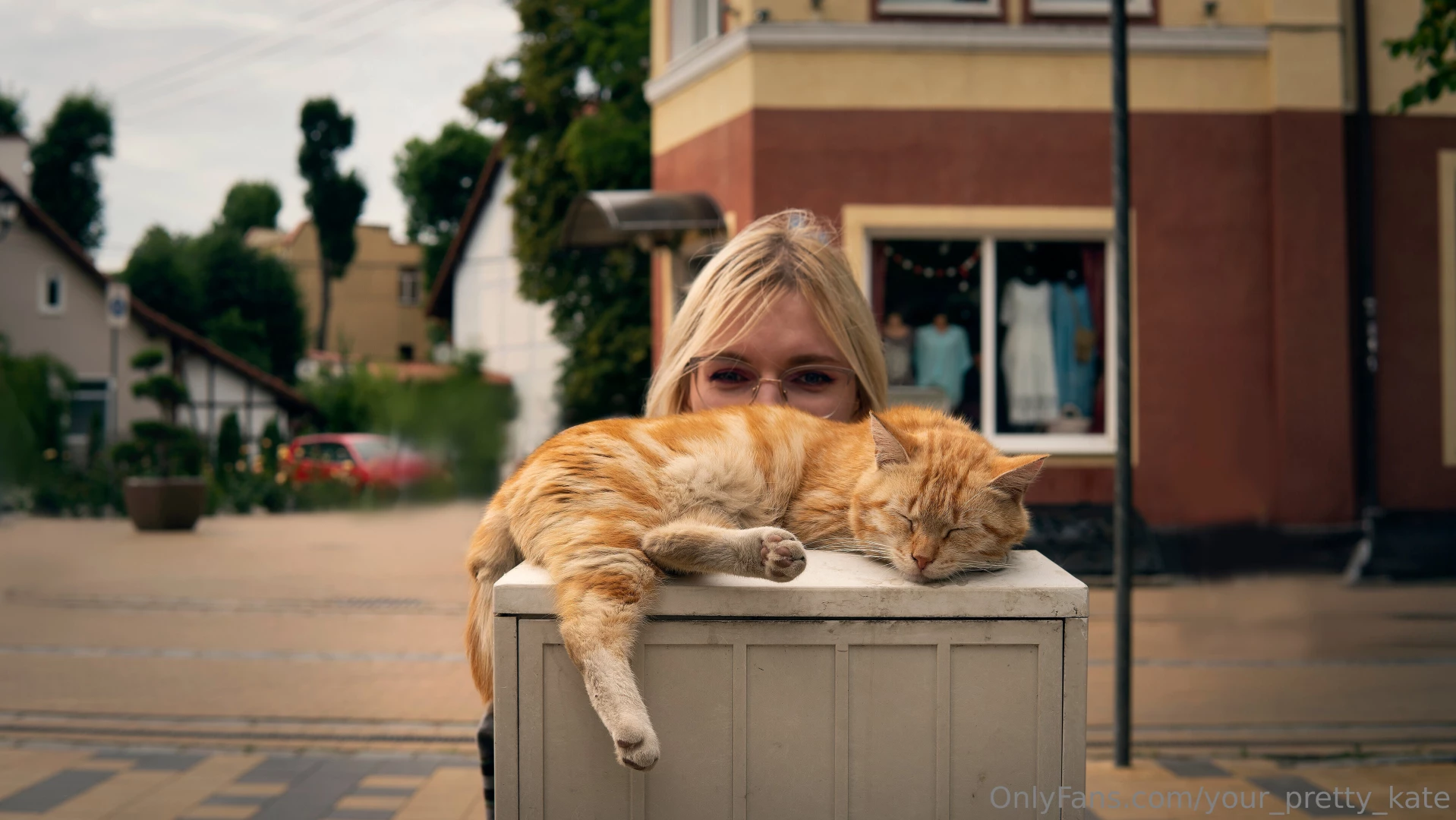 Who is sleeping so sweetly here it was a city of cats if there is a 