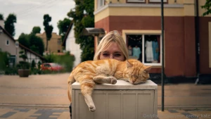 Who is sleeping so sweetly here it was a city of cats if there is a