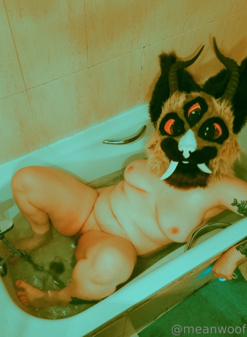 There was an elf on the shelf would you handle a lynx in your sinks 