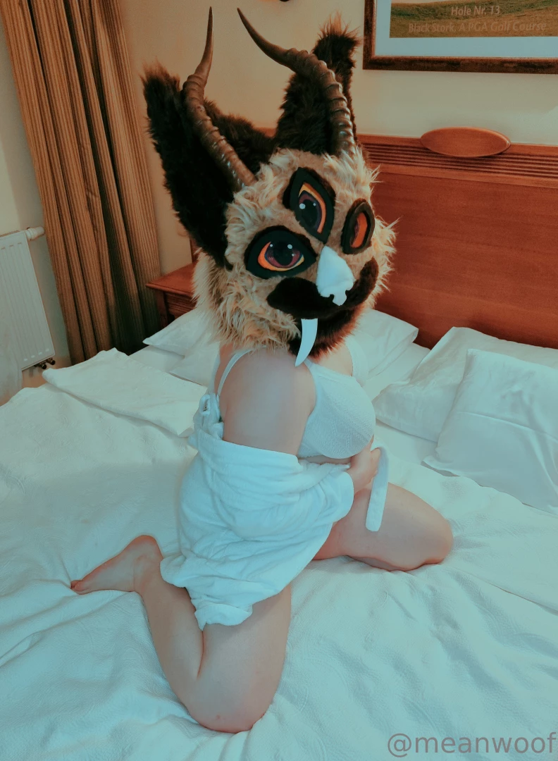 Your cat took all the bed for herself again are you gonna do something part 1 