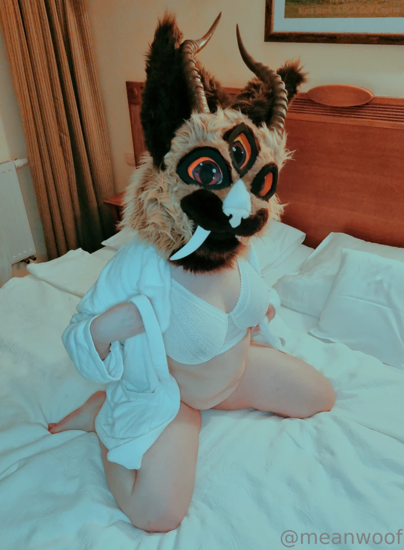 Your cat took all the bed for herself again are you gonna do something part 2 