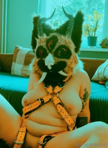 I wear this harness so you would touch me more often would it work