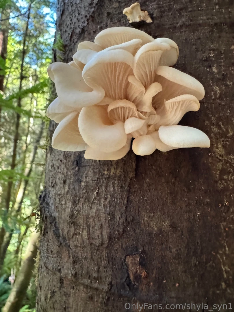 Love getting out into the forest for some fun and interesting shoots 