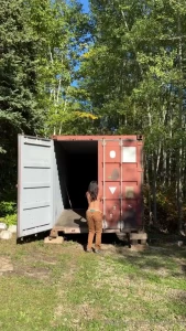 Horny and waiting patiently for you