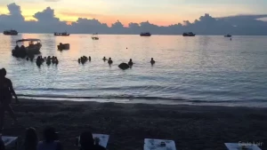 Take me back to aruba