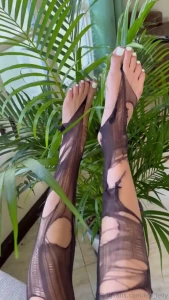 Hello everyone last week we had a hot photoshoot in ripped stockings