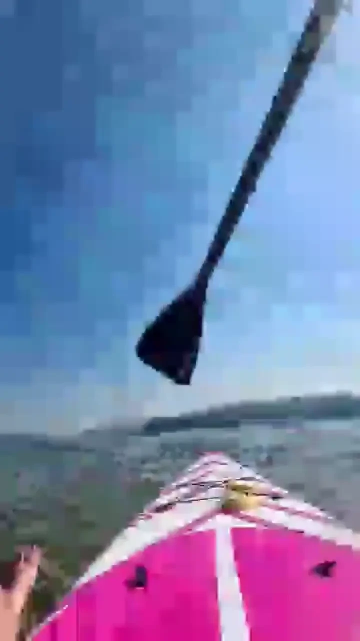 Sort of like i recorded off a potato but i swear it was just the case 