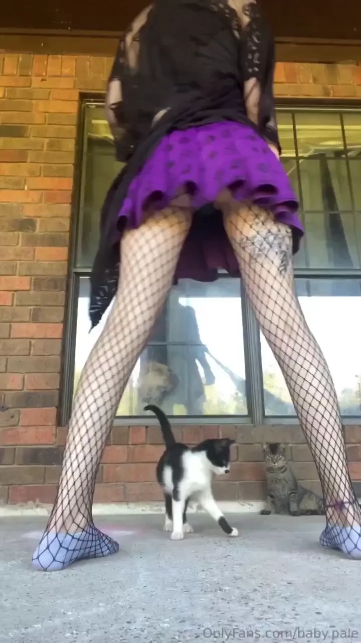 Good afternoon part 1119 