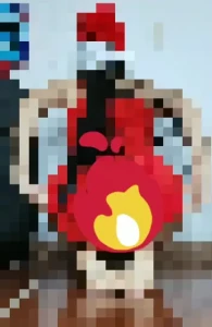 Sexy christmas set special gift