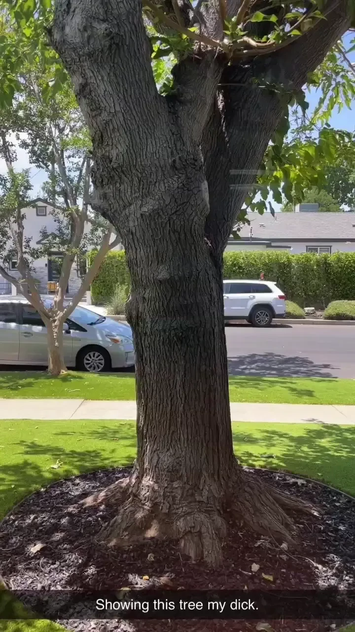 Https onlyfans com mikeyplus c1 