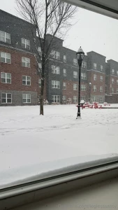 So pretty outside with all the snow