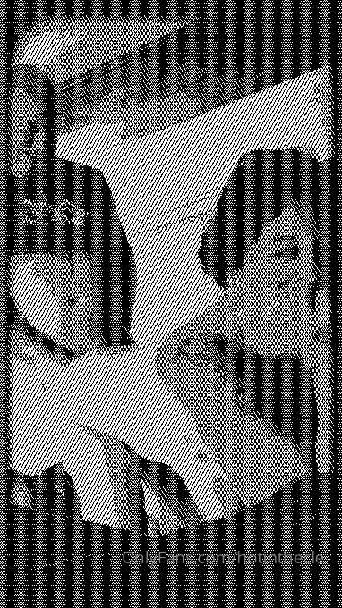 Had fun last night with my man pbdodge24 pictures and videos for sale 