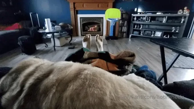 Woke up to let the dog out and now ready for a nap 