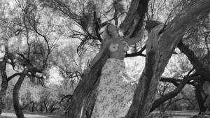 Out in the wild slideshow