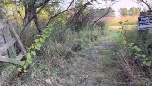 Join me for my morning stroll