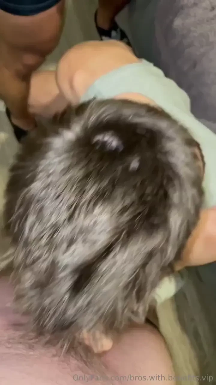 Video 42 hockey bro jackjacobxxx has always been a strict top but he 