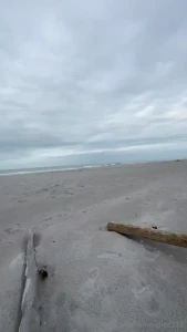 You know it s statistically proved listening to the waves for 15 min