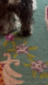 Someone clearly has a foot fetish