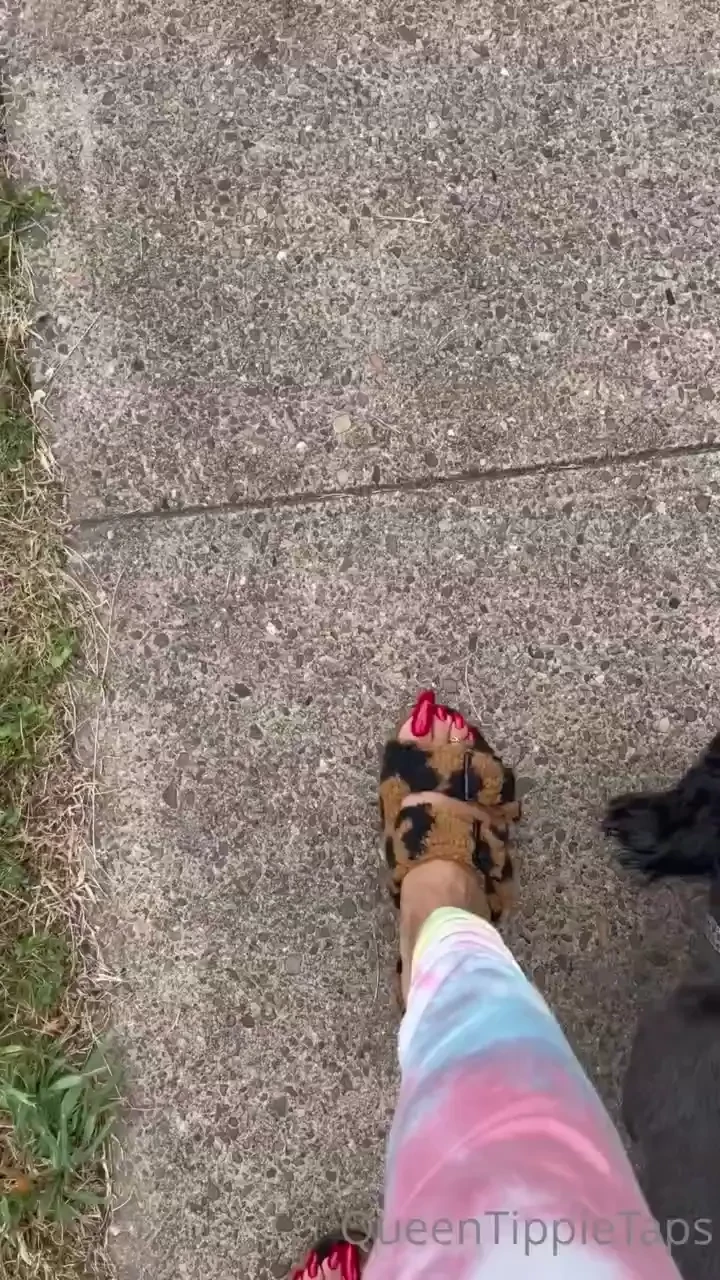 Bear claws walking on sidewalk 