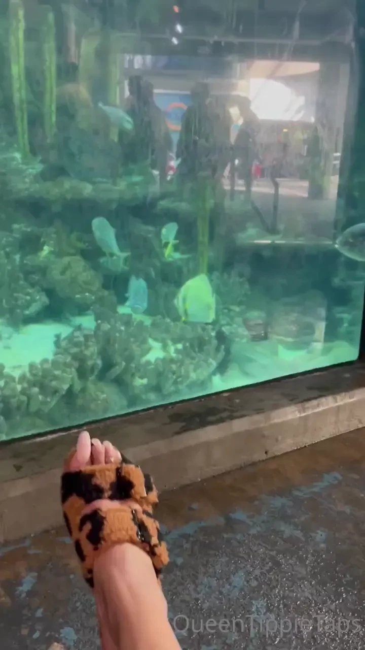 Aquarium and long toe nails 