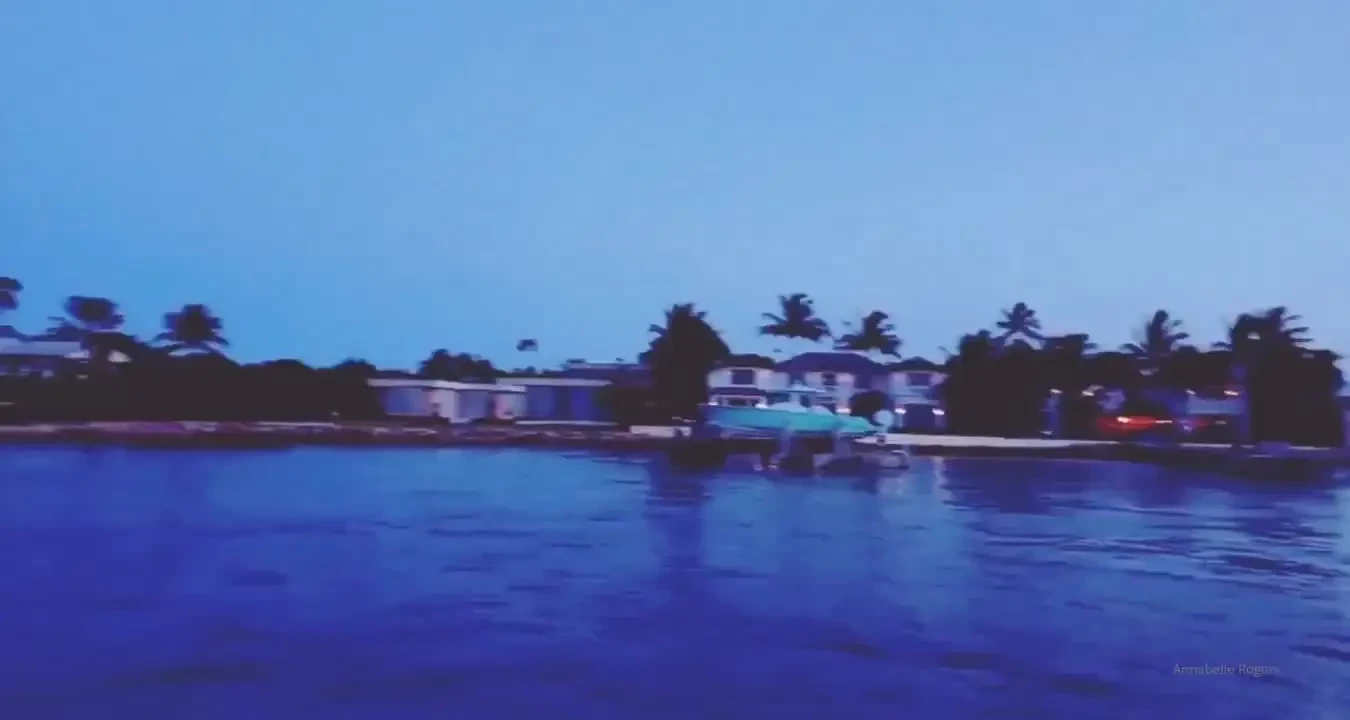 Did a sunset boat tour around palm beach island last night 