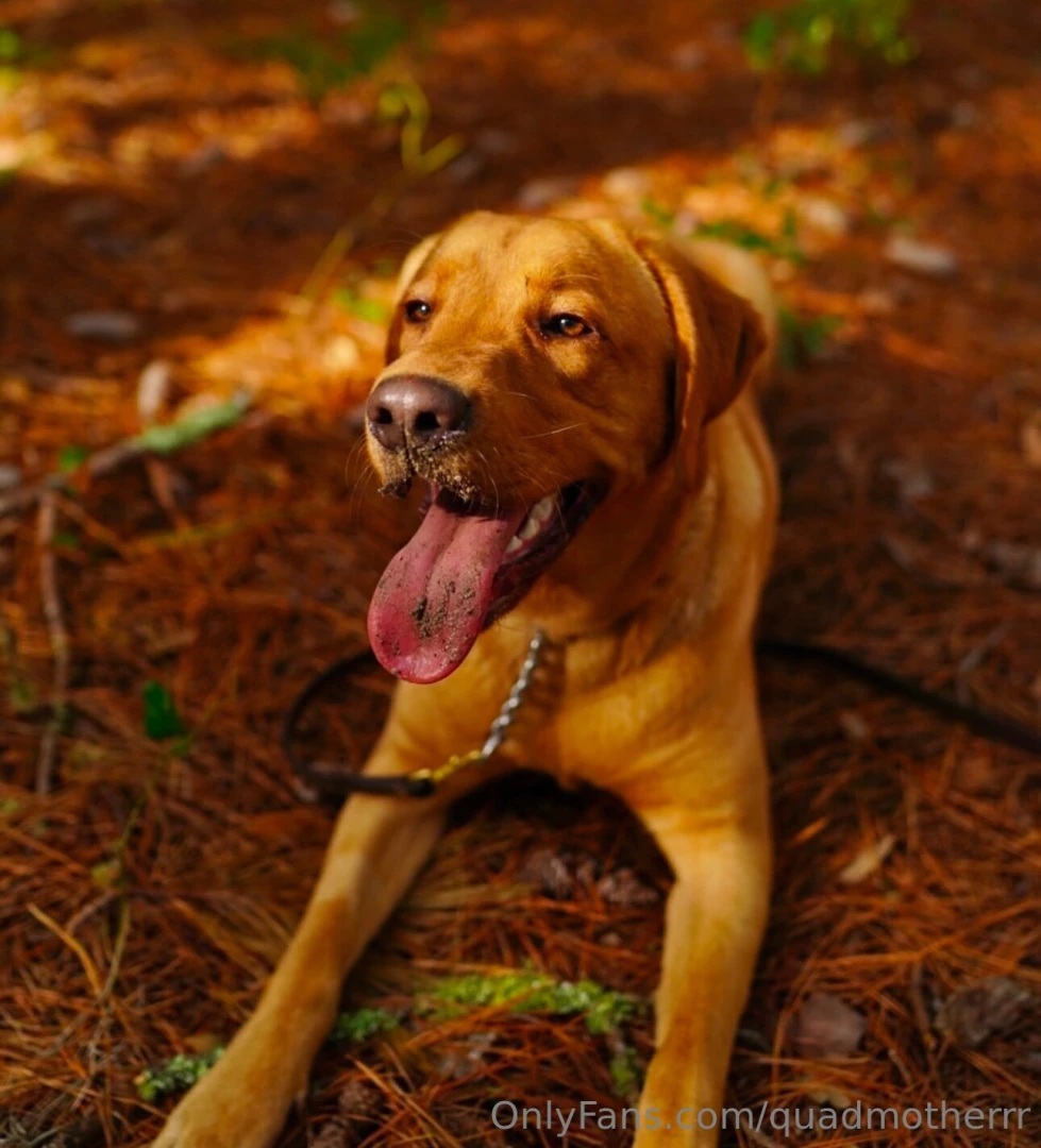 When i m not throwing ass this who controls my life peep last slide 