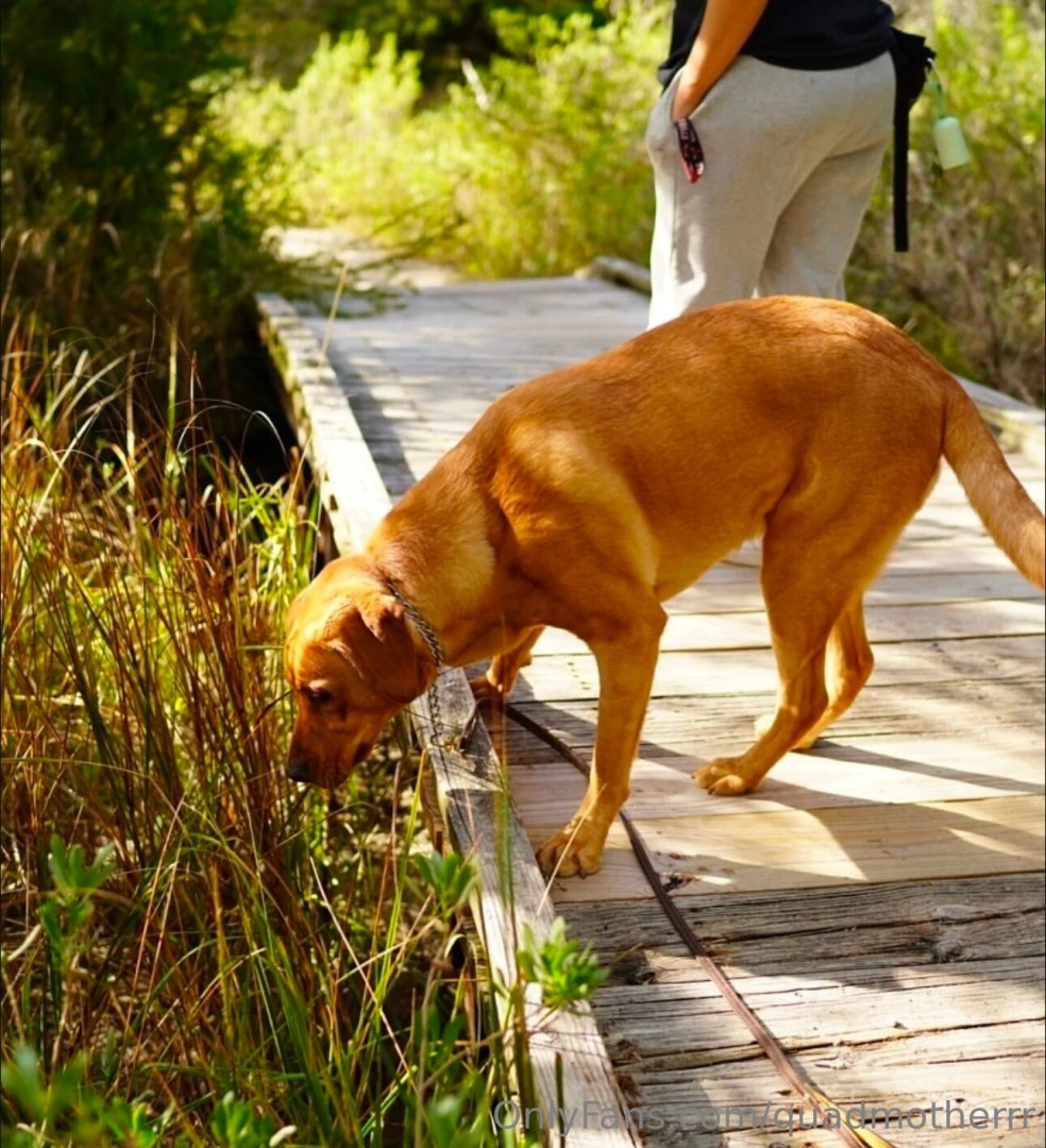 When i m not throwing ass this who controls my life peep last slide part 2 