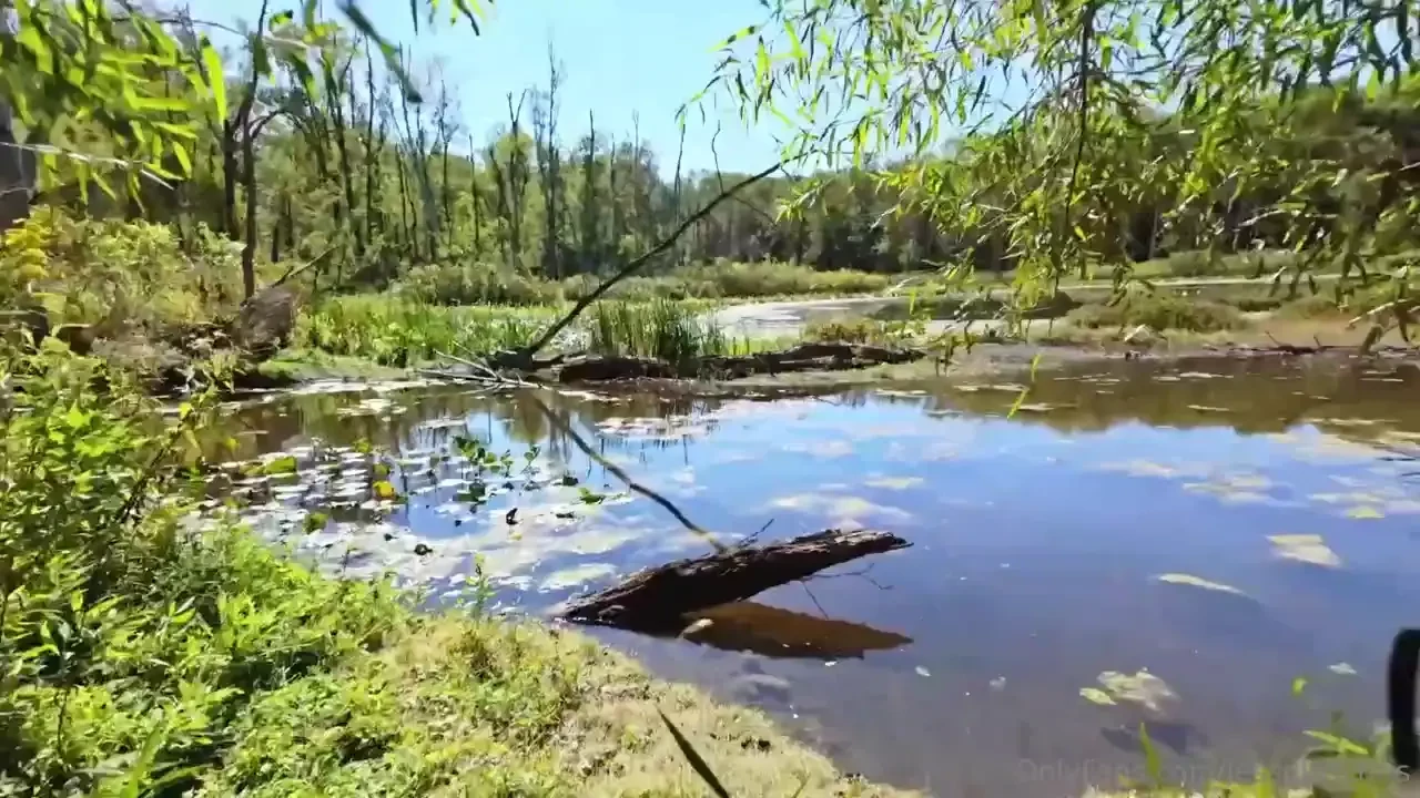 I don t think i can express how sad i am that outdoor sex season is 