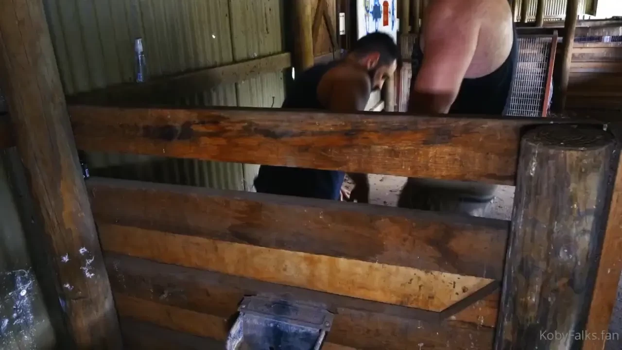 Banging in the barn ever wondered what a true blue aussie barn bash 