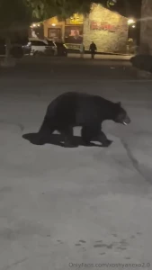 What a weekend in gatlinburg got to see a