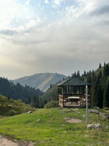 How do you like this place part 1