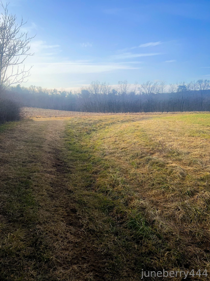 Freejuneberry444 part 7 