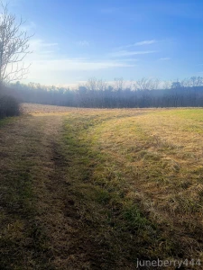 Freejuneberry444 part 7