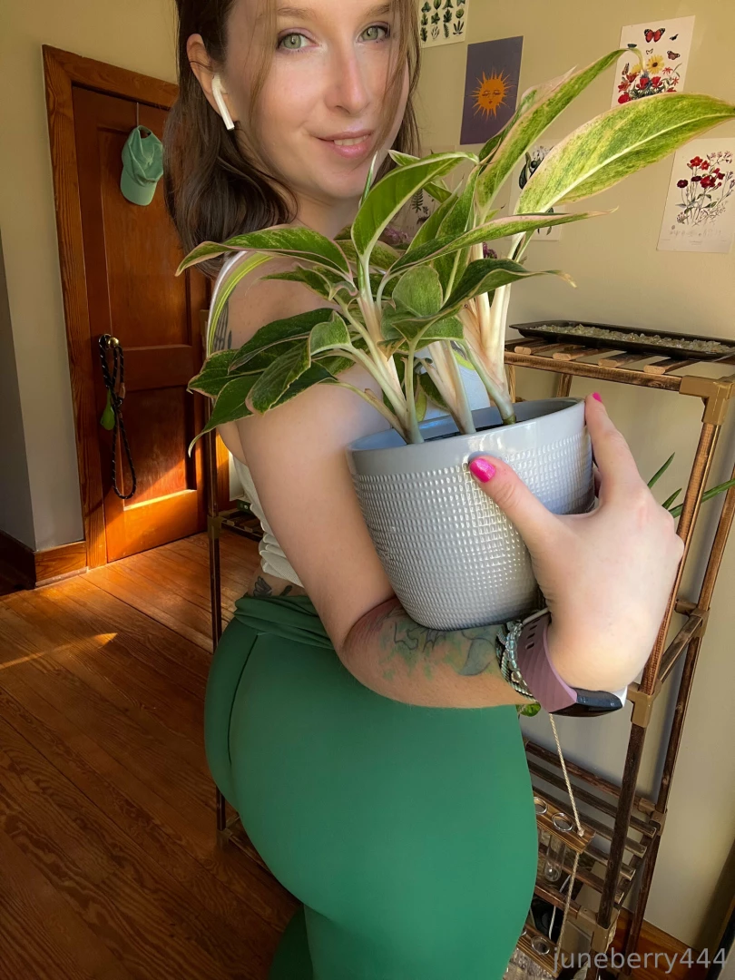 Just trying to get you to look at my plant 