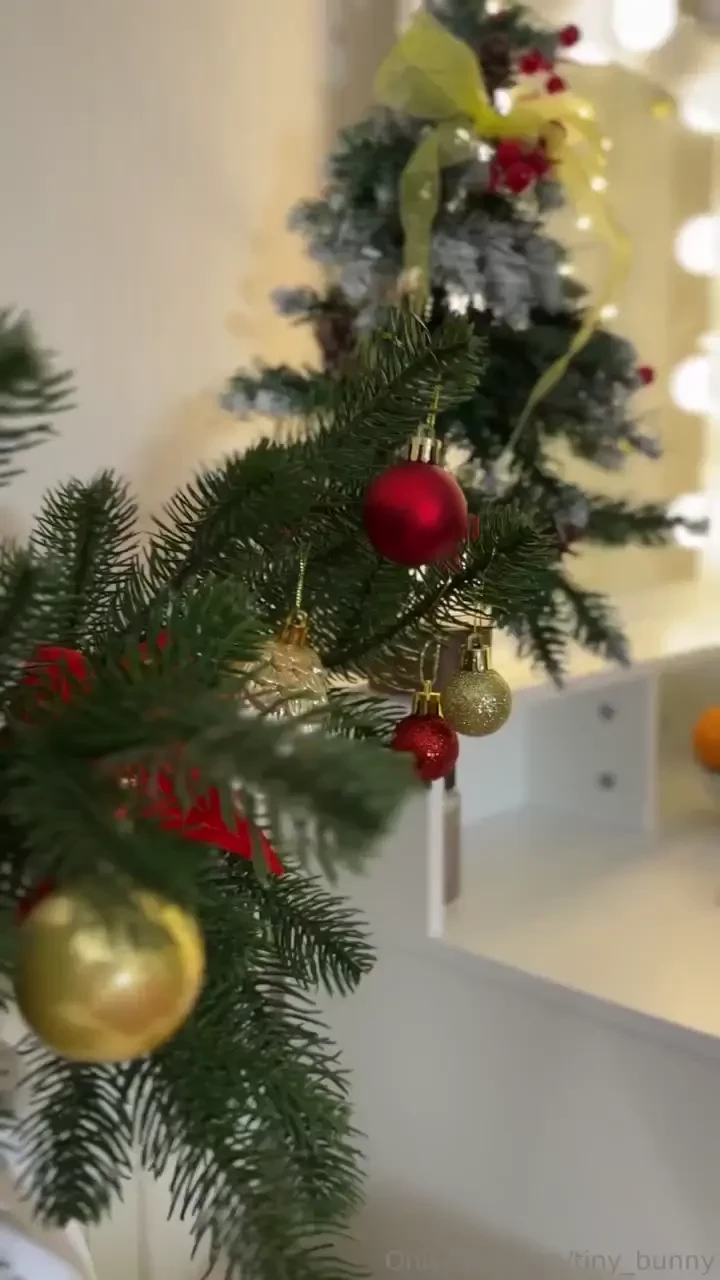 You know that tinny bunny never forgets what day it is that s why i 