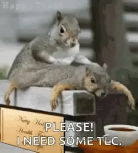 Long weekend ahead some tlc sounds perfect