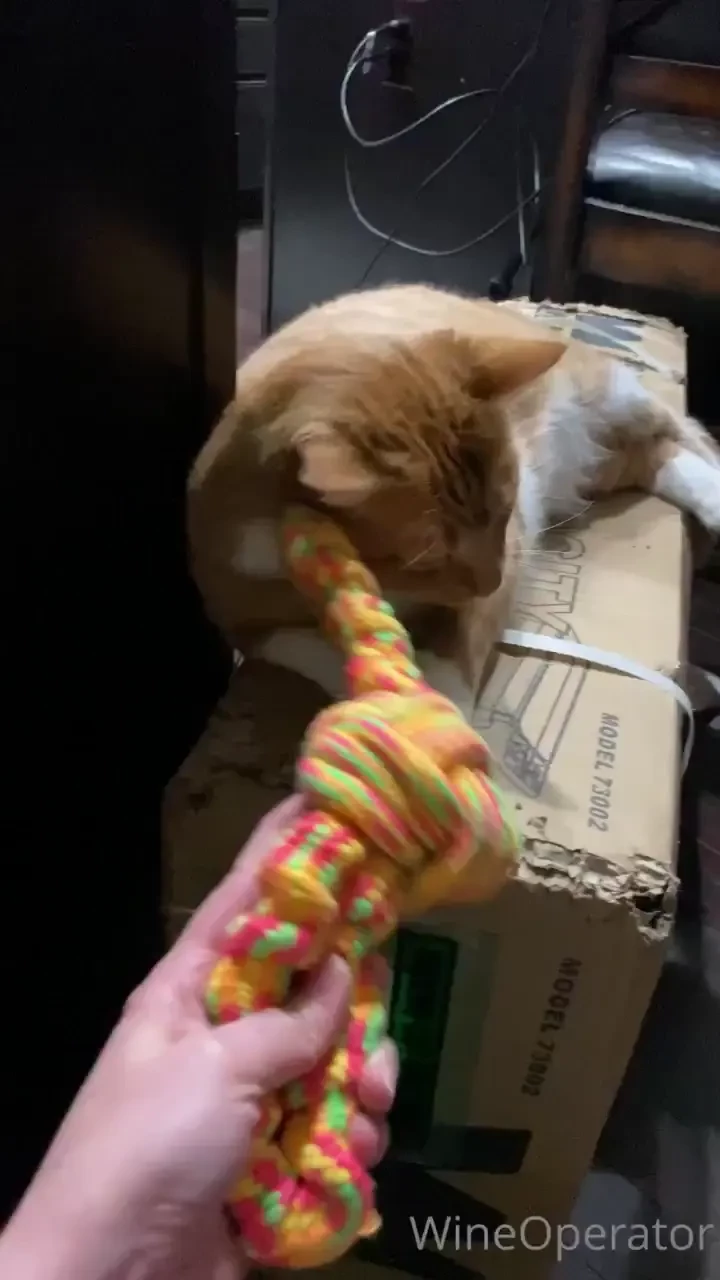 My loves this big toy 