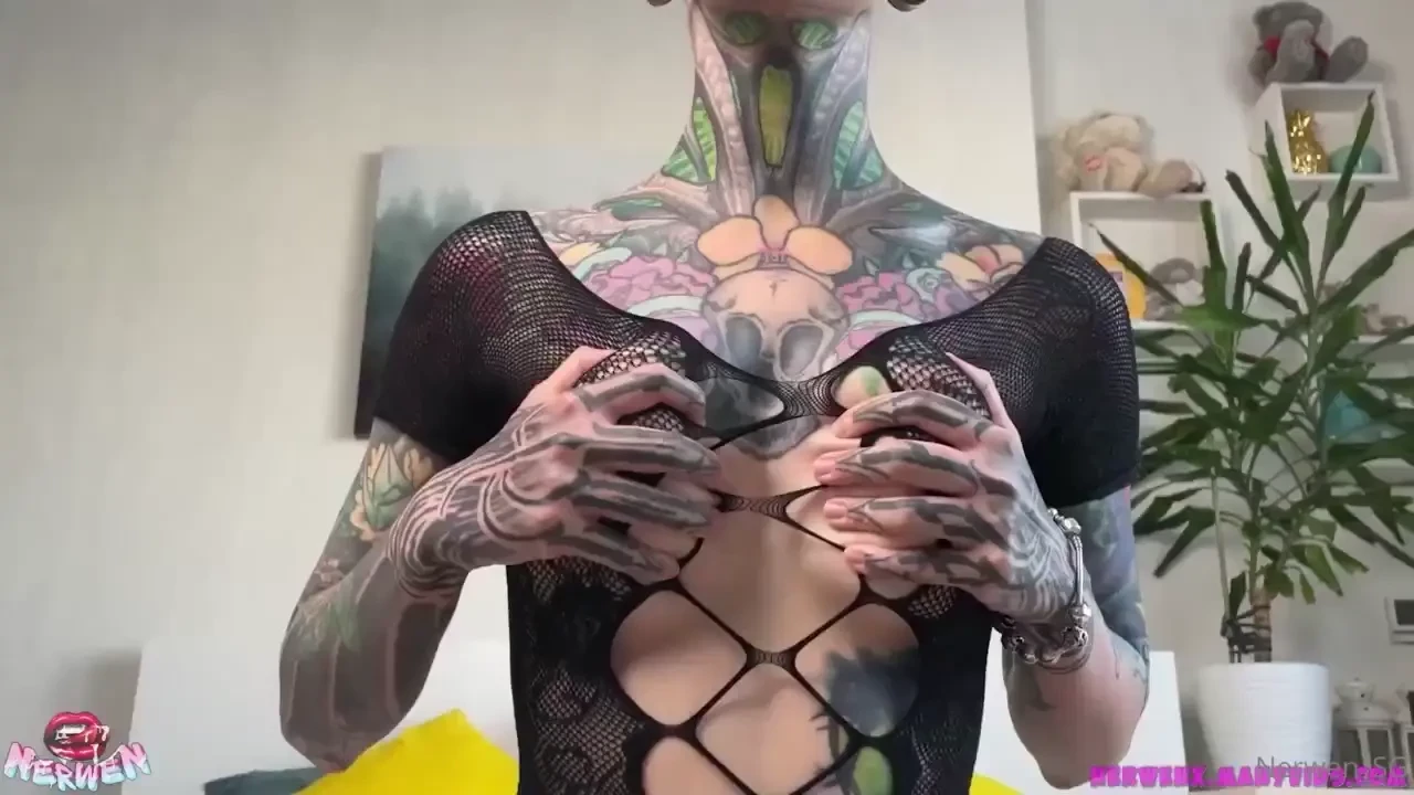 Fishnet pussy fuck anal fuck anal plug realistic dildo bbc dildo doggy 