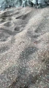 New short video coming