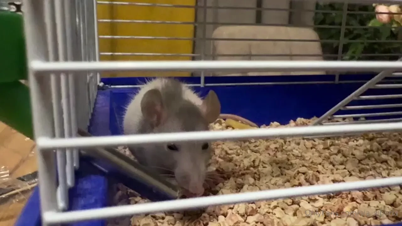 I know you enjoy it when i share moments from my life i have great part 1 