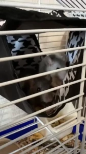 I know you enjoy it when i share moments from my life i have great