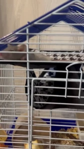 I know you enjoy it when i share moments from my life i have great part 3