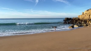 Photographer michael morris part 2